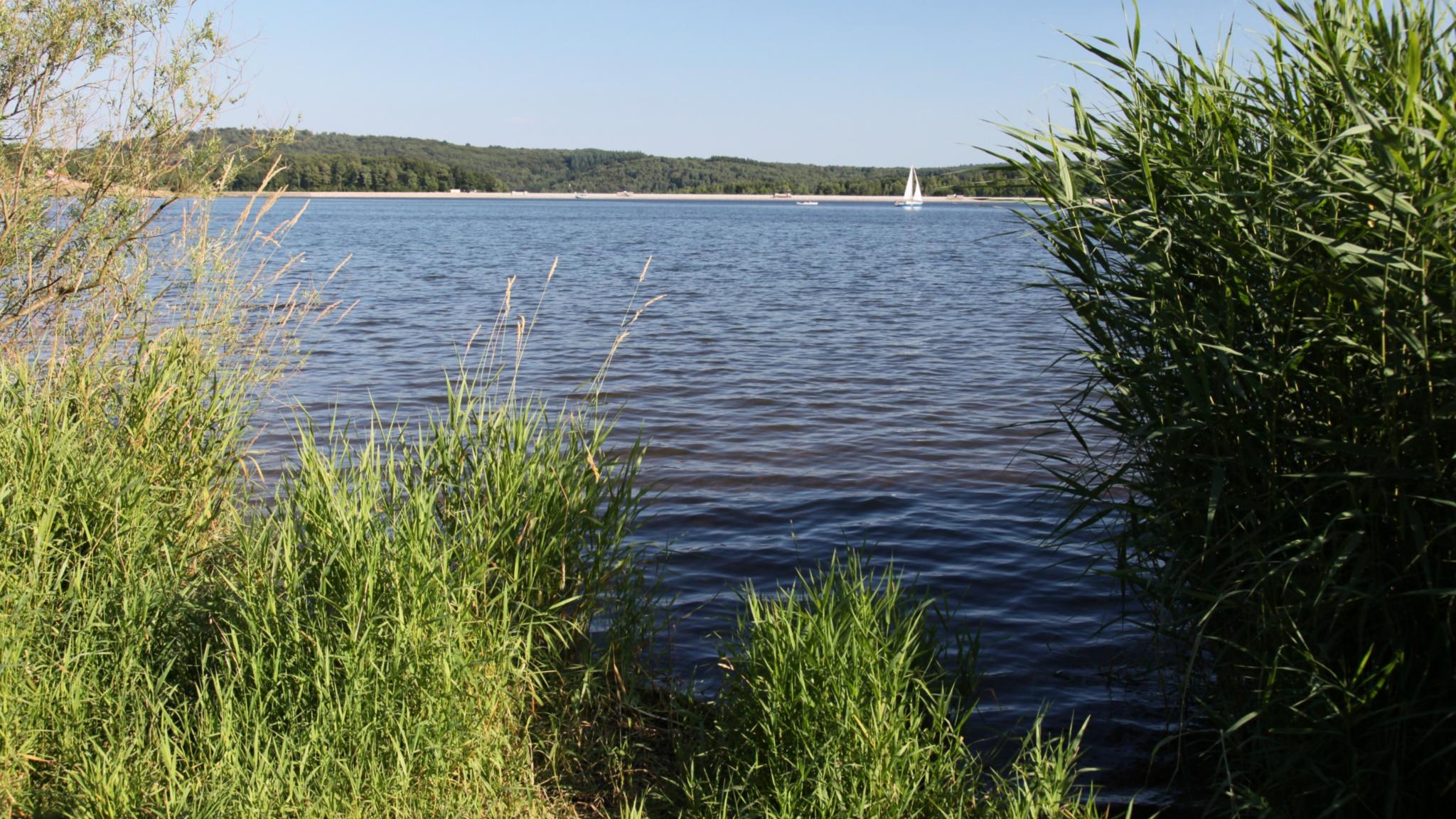 Blick auf den See